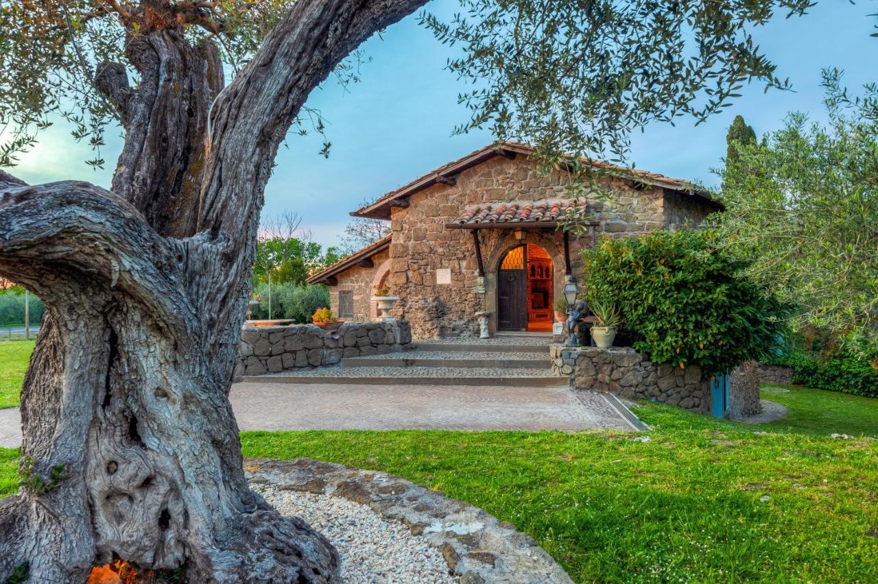 צ'יאמפינו Roman Oasis Villa מראה חיצוני תמונה